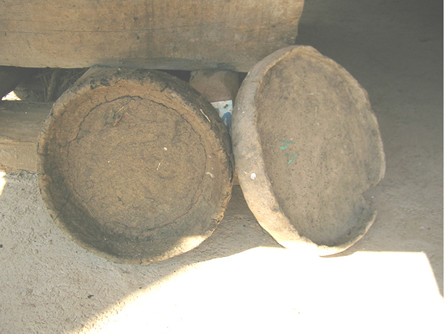کالبی